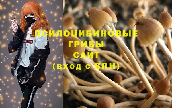 круглые Алексеевка