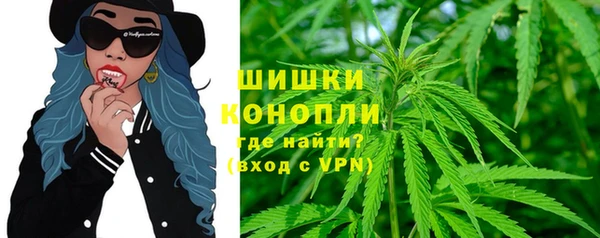 сатива Алзамай